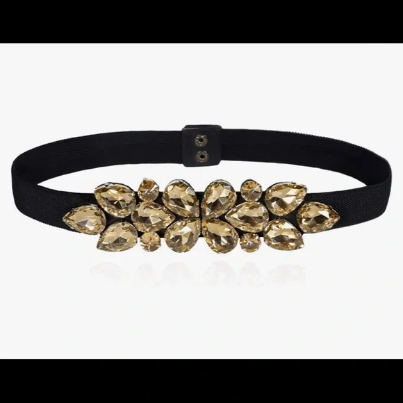 Champagne Rhinestone Belt Black L Xl Stretch | Color: Black/Gold | Size: Os | 6thcityfashion's Closet